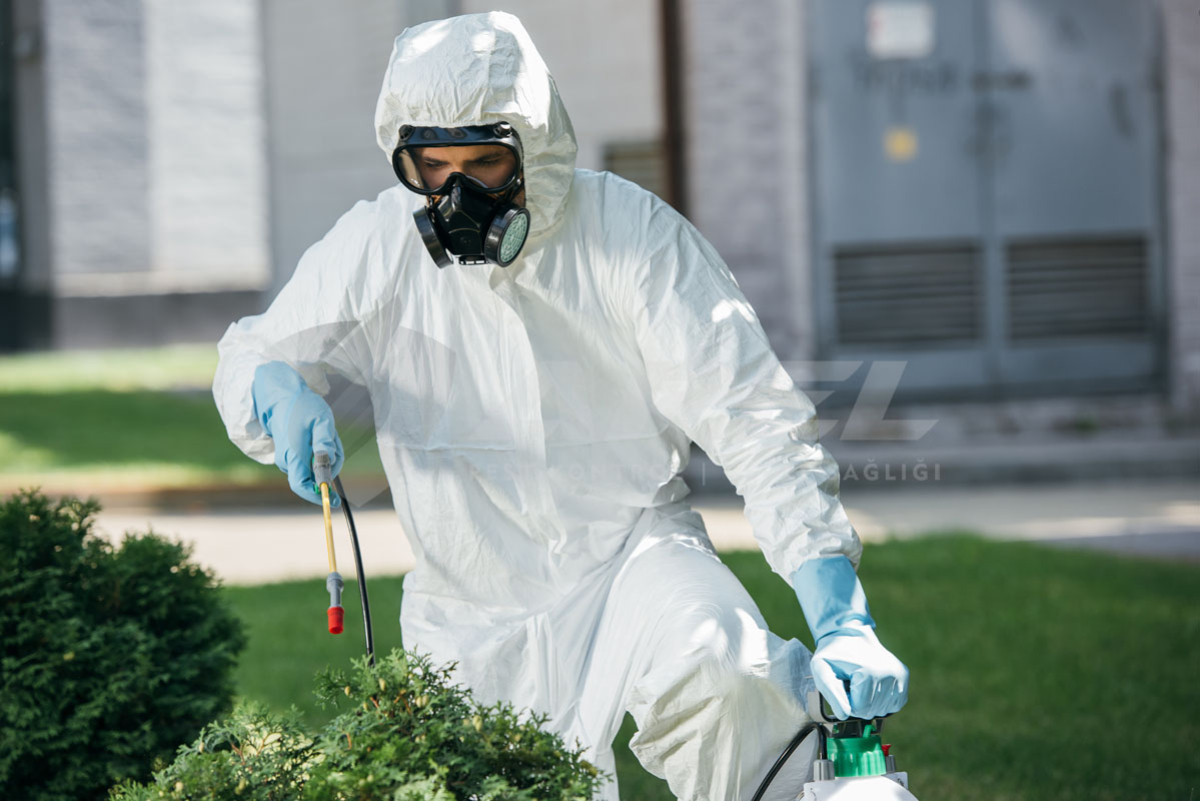 Yakınımdaki Böcek İlaçlamacı Ve Böcek İlaçlama Firması, İzmir Arel Böcek İlaçlama