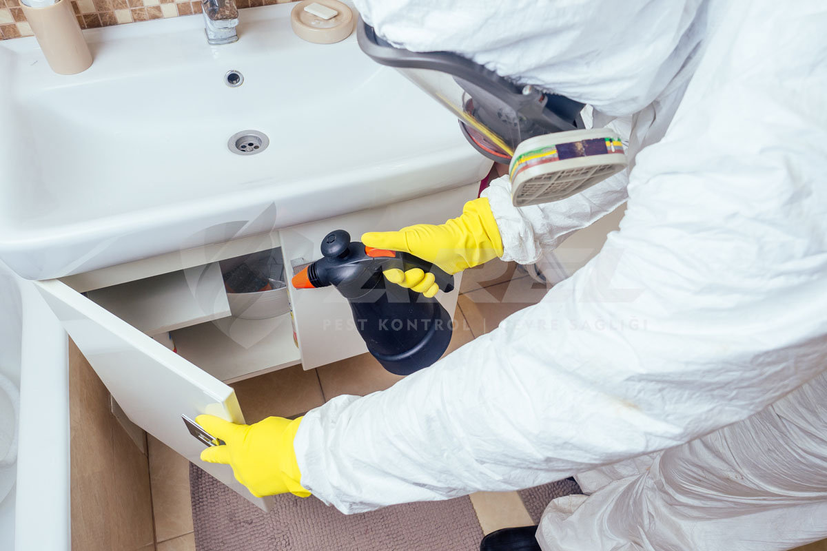 Böcekler İnsana Neden Gelir?