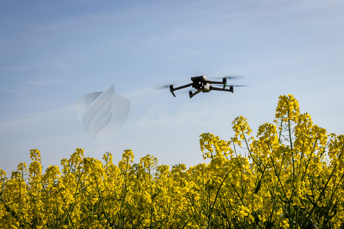 En Yenilikçi Böcek İlaçlama Haşere Kontrol Teknolojileri Nelerdir?